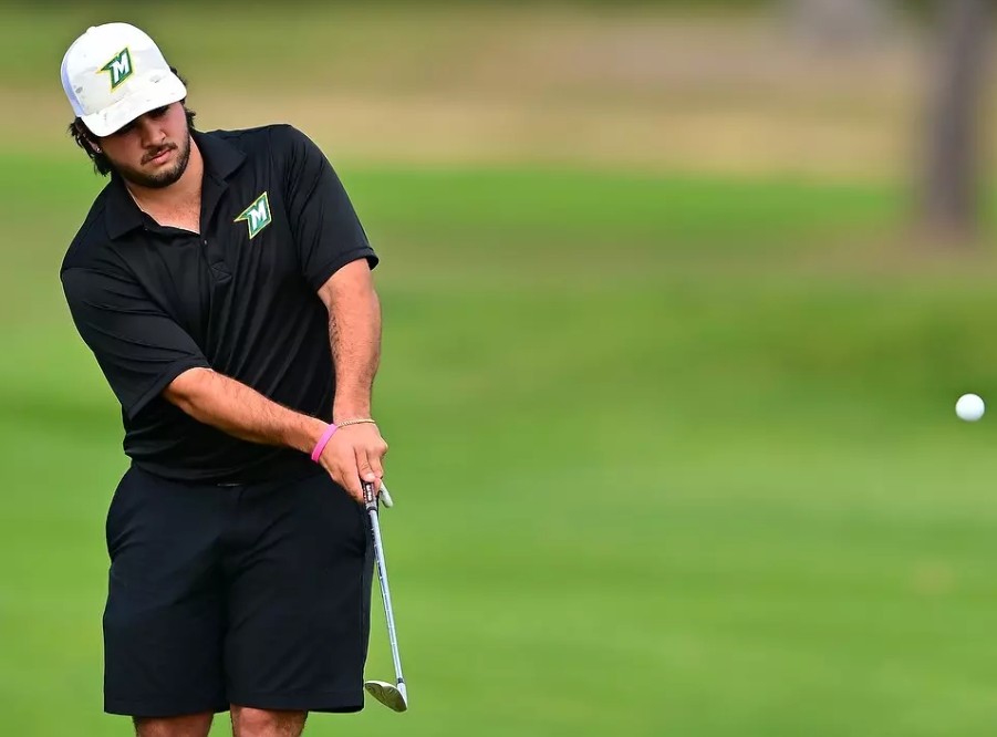 Transylvania Fall Invite Muso cards 73 to sit Tied Twentieth